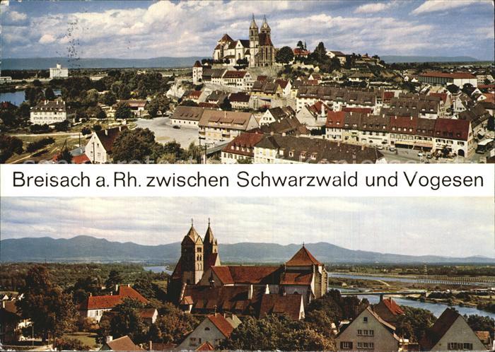 Breisach Rhein Stadtblick Muenster