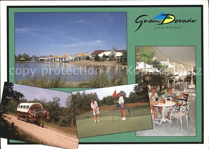 Playa de las Americas Gran Dorado Loohorst Pferdewagen Golf Terrasse