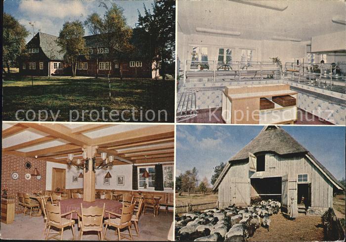 Schneverdingen Pension Gasthof Schaeferhof Gastraum Theke Schafstall