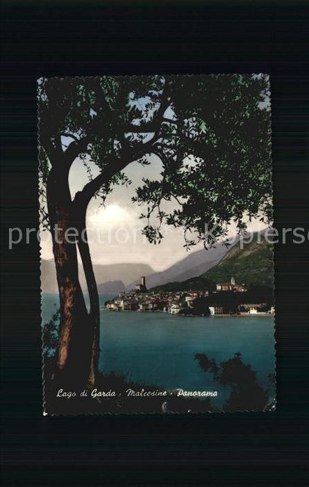 Malcesine Lago di Garda Panorama