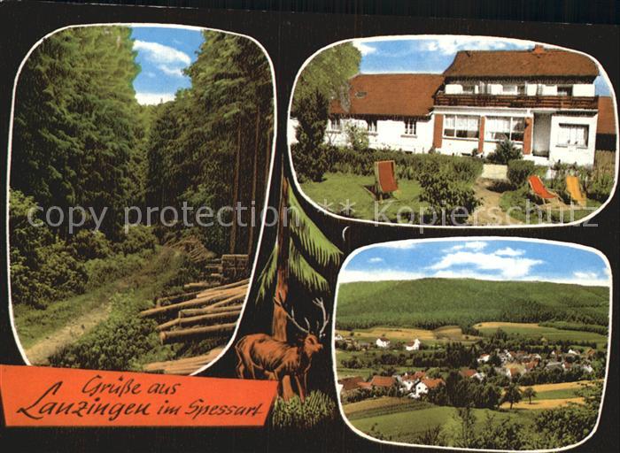 Lanzingen Pensionshaus Spessartblick Waldweg Panorama