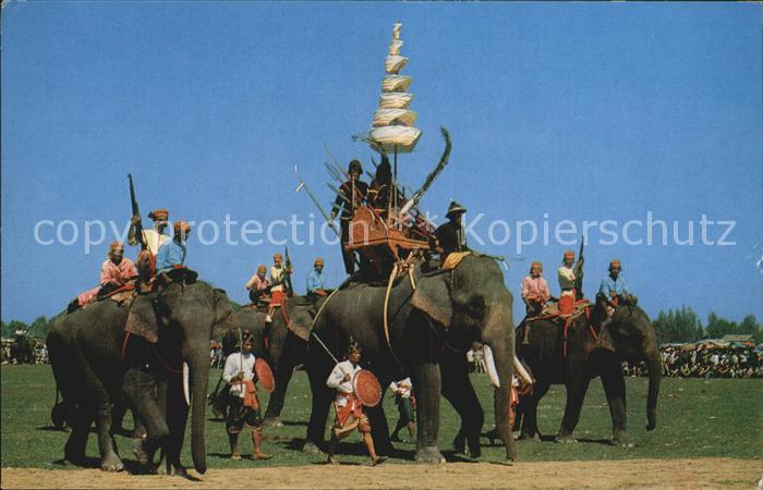Elefant Ancient Battle Elephants showing at Surin Thailand
