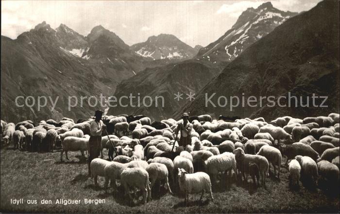 Schafe Hirte Idyll Allgaeuer Bergen