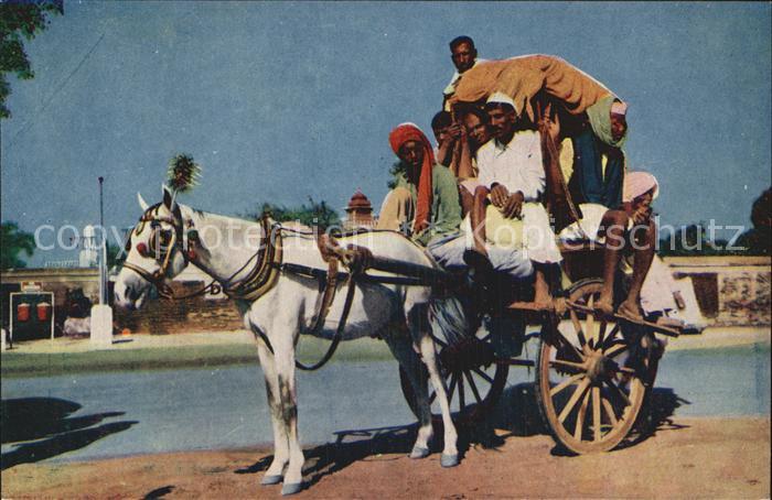 Pferdekutschen Yekka Horse Carriage