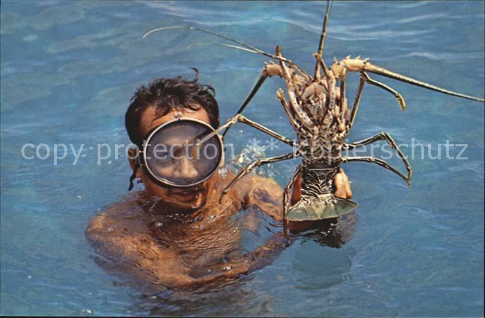 Meerestiere Spiny Lobster Phuket Province Chao Lay Thailand