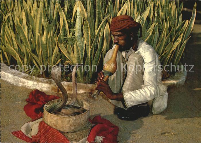 Schlangen Tiere Indian Snake Charmer Singapore Schlangenbeschwoerer