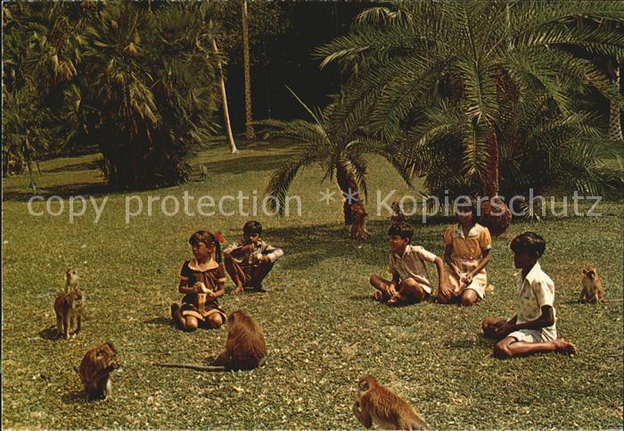 Affen Botanical Gardens Children Malaysia
