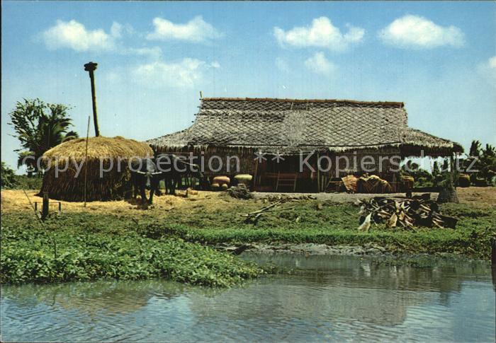 Landwirtschaft Upcountry Life of Thailand