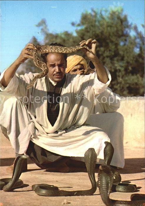 Schlangen Tiere Maroc Marrakech Charmeur de Serpents Schlangenbeschwoerer