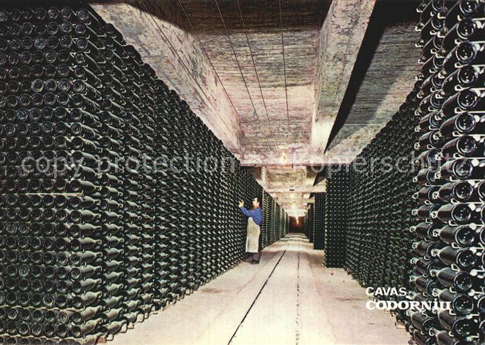 Wein Cavas Codorniu Botellas envejeciendo