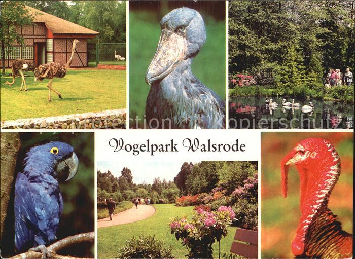 Voegel Birds Oiseaux Uccelli Pajaros-- Vogelpark Walsrode