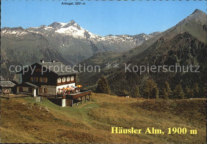 Mallnitz Kaernten Haeusler Alm