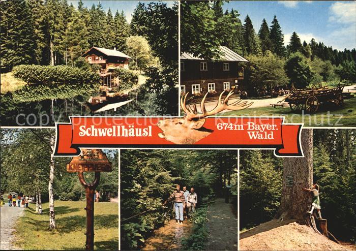 Bayerisch Eisenstein Schwellhaeusl Zwieselerwaldhaus