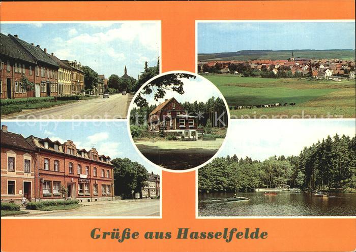 Hasselfelde Erholungsheime Tannenwald und Zur Krone Gondelteich