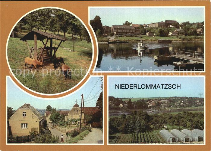 Niederlommatzsch Elbpartie mit Faehre Dorfstrasse