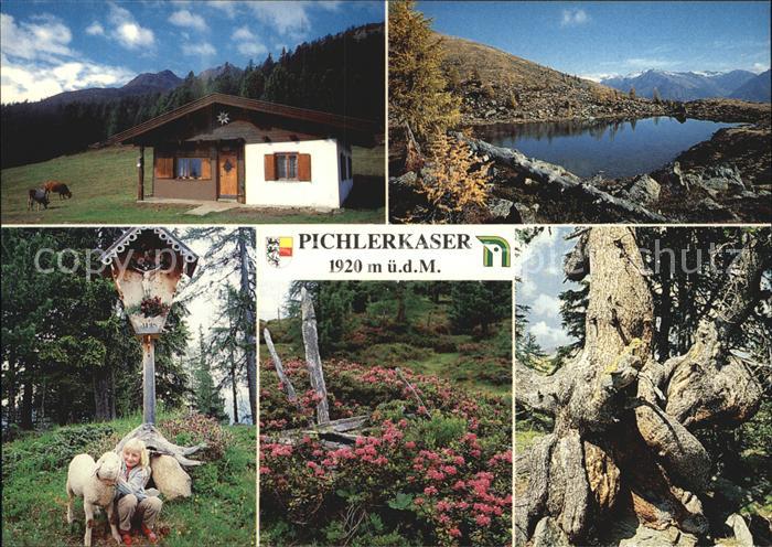 Moertschach Pichlerkaser Einkehrhuette Jausen Moelltal