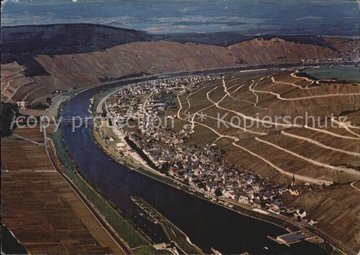 Zeltingen-Rachtig Fliegeraufnahme Weinbaugebiet Mosel