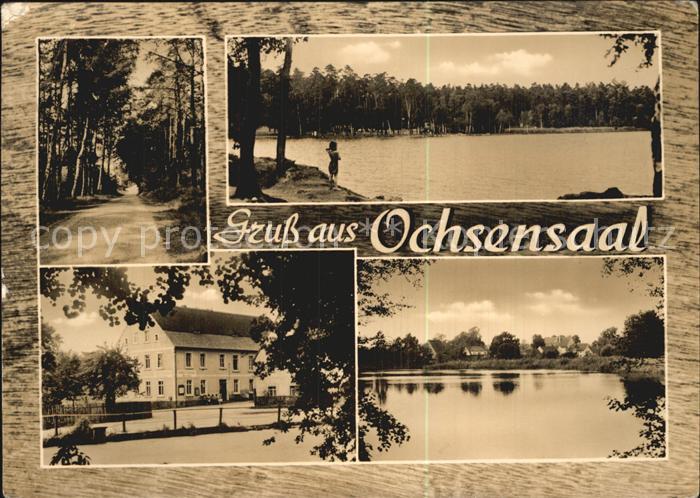 Ochsensaal Gasthof Froehlich