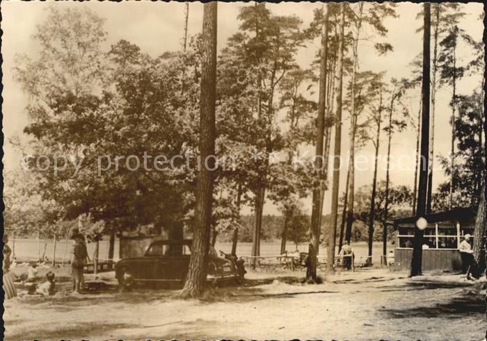 Ochsensaal Dammuehlenteich