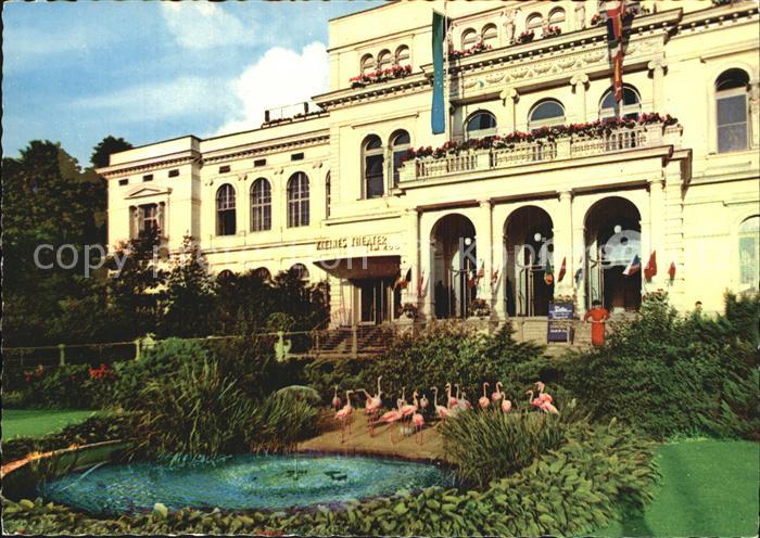 Frankfurt Main Flamingos am Gesellschaftshaus am Zoo