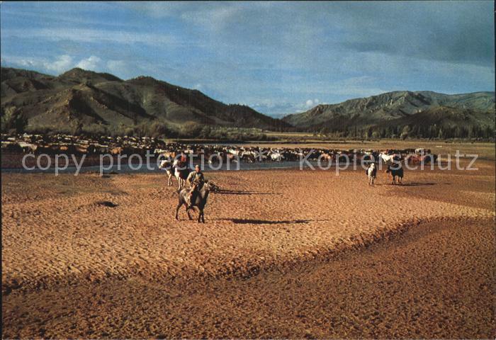 Mongolei Horsemen Tsetserling Somon