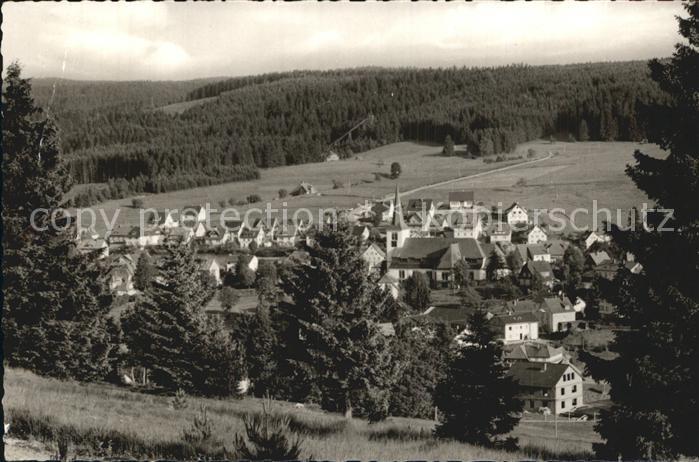 Schonach Schwarzwald Panorama