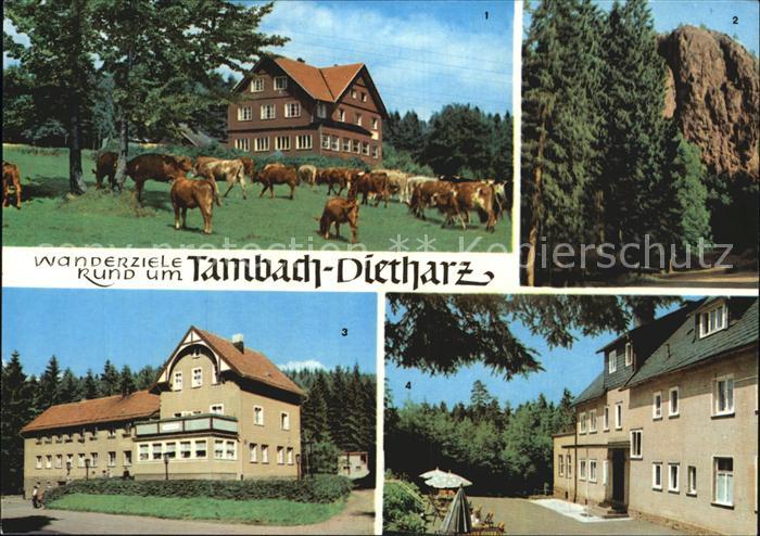 Tambach-Dietharz Berghotel Ebertswiese Falkenstein Radebachmuehle Waldbaude