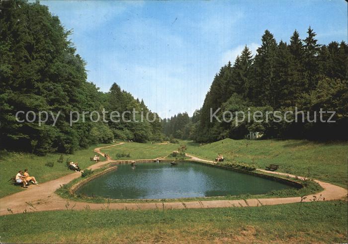 Gras-Ellenbach Kuranlage Gassbachtal