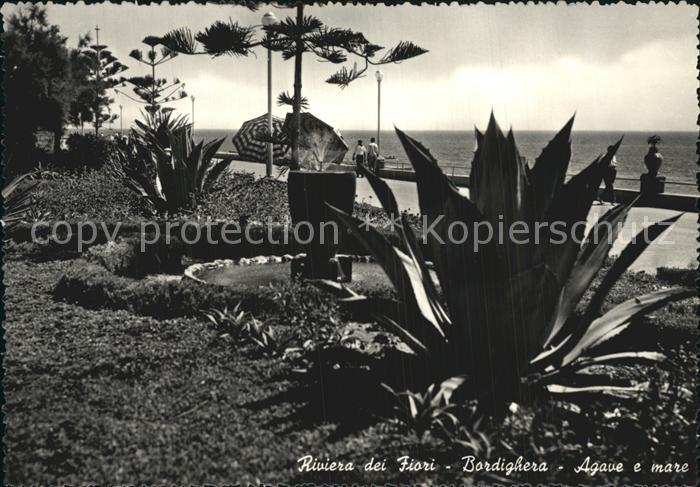 Bordighera Blumenriviera Agave Meer