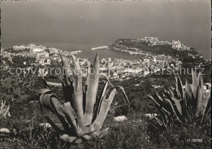Monaco Panorama