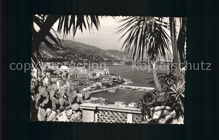 Monte-Carlo Panorama