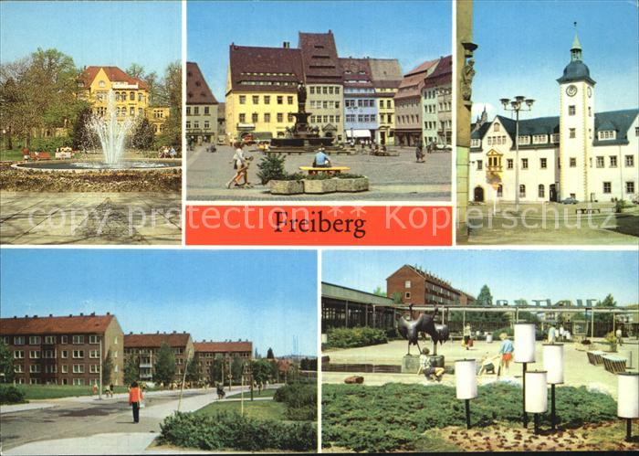 Freiberg Sachsen Brunnendenkmal Obermarkt Rathaus Wasserberg