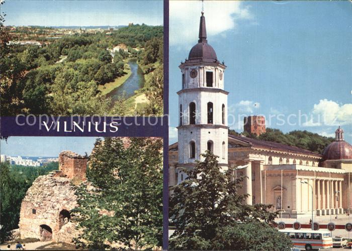 Vilnius Kathedrale Panorama Ruine
