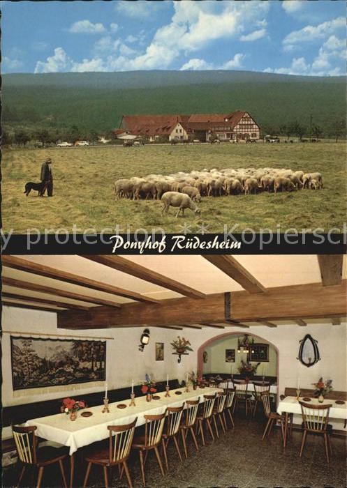 Ruedesheim Rhein Ponyhof Waldgasthof Ebental