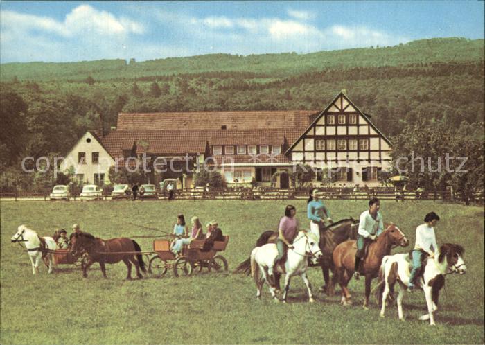 Ruedesheim Rhein Landgut Ebental Ponyhof