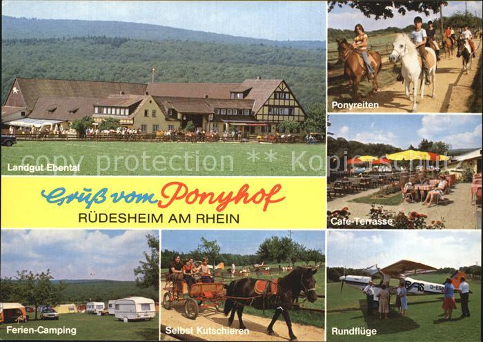 Ruedesheim Rhein Landgut Ebental Ponyreiten Ferien Camping Cafe Terrasse