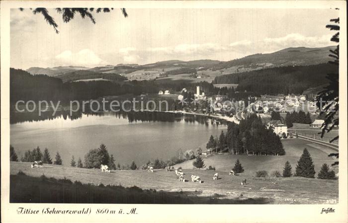 TITISEE Schwarzwald BW Panorama