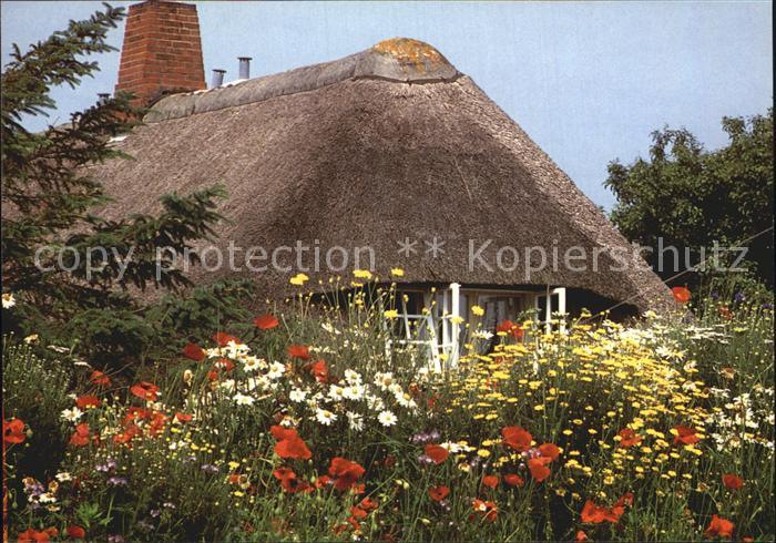 SYLT Insel Schleswig-Holstein Friesenhaus
