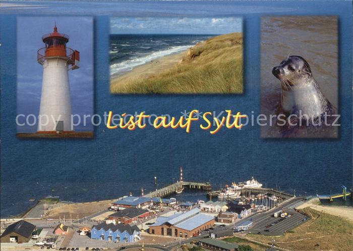 SYLT Insel Schleswig-Holstein Leuchtturm Seehund
