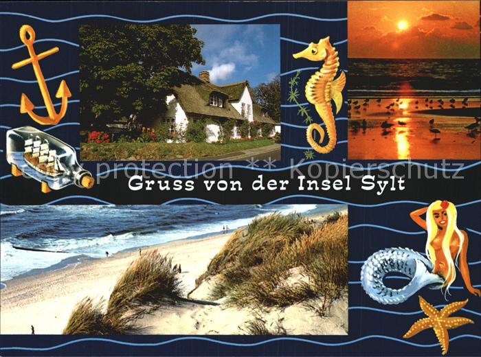 SYLT Insel Schleswig-Holstein Duene Friesenhaus