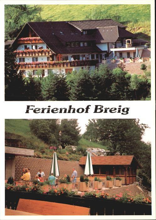 Oberharmersbach Ferienhof Breig
