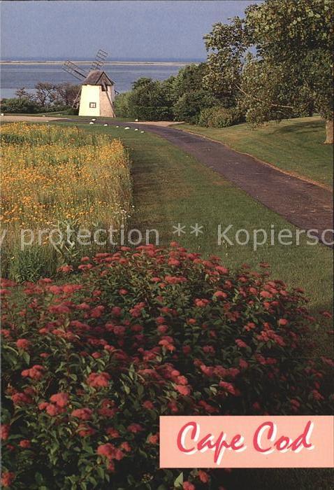 Chatham Massachusetts Sommerblumen bei der Windmuehle
