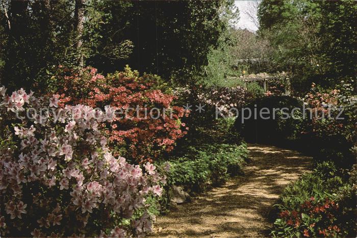 Jackson Mississippi Mynelle Gardens