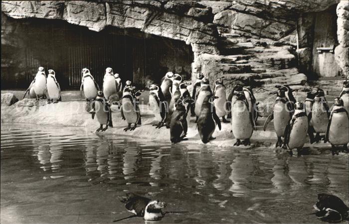 Hagenbeck Tierpark Hamburg-Stellingen Humboldt-Pi