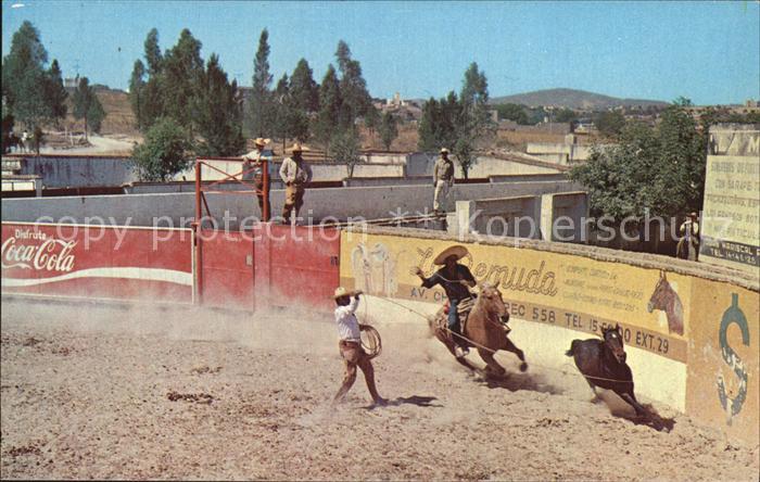 Pferdesport Pferderennen Reitsport Mexico