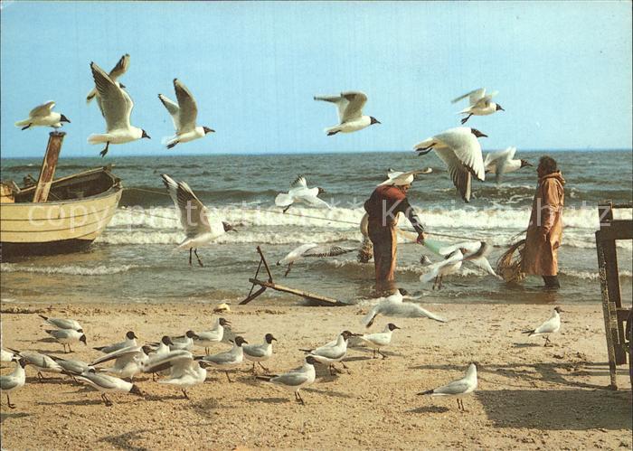 Fischerei Küstenfischerei Insel Usedom Möwen