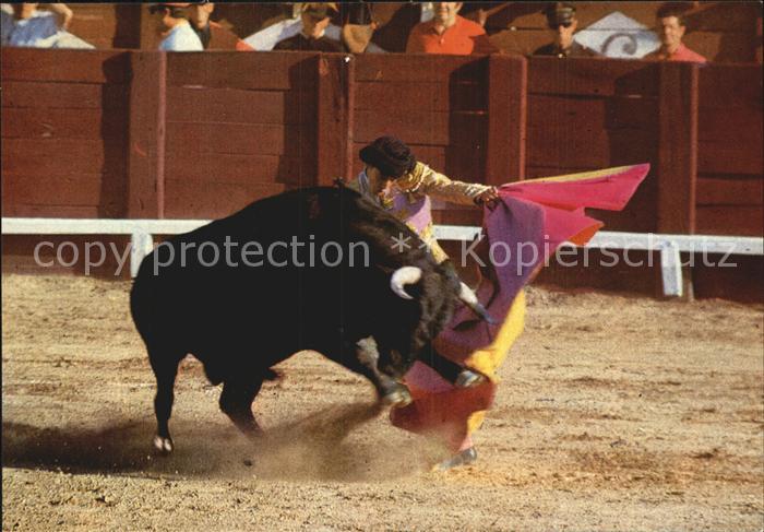 Stierkampf Juan Jose Plaza de San Martin de Valdeiglesias Media veronica