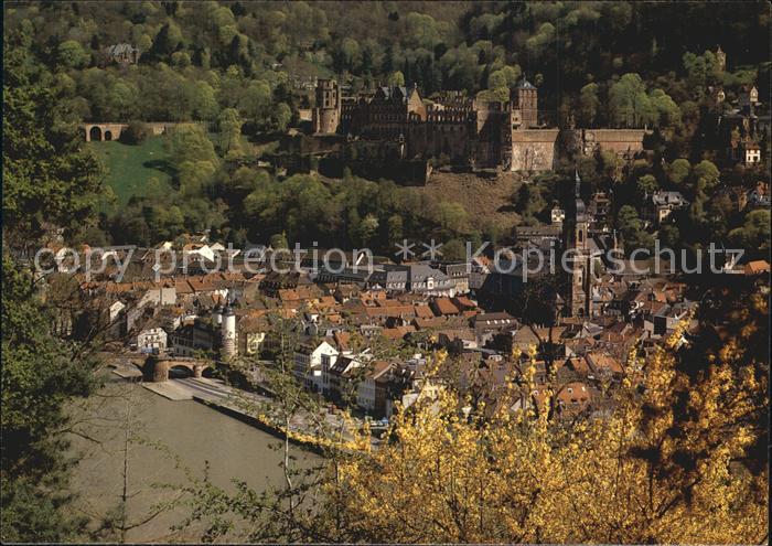 Alt Heidelberg Neckar Schlossblick vom Philosophenweg