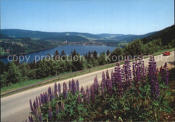 TITISEE Schwarzwald BW Seepanorama
