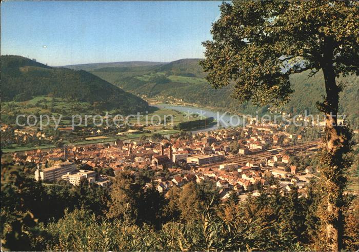 Eberbach Neckar Panorama